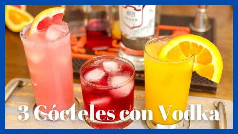 Refresca tu paladar con seductoras bebidas de vodka y jugo